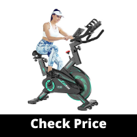 L NOW Exercise Bike Indoor Cycling Bike