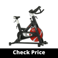 Sunny Evolution Pro II Magnetic Indoor Cycling Bike