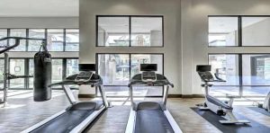 Treadmill Benefits For Weight Loss, Skin And Belly Fat