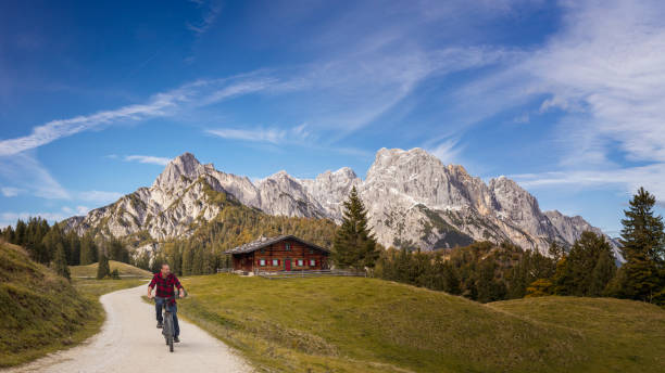 best mtb tyres for road and offroad