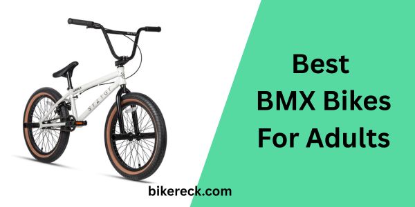 Best BMX Bikes For Adults - You Can Pick One 8 Best BMX Bikes For Adults